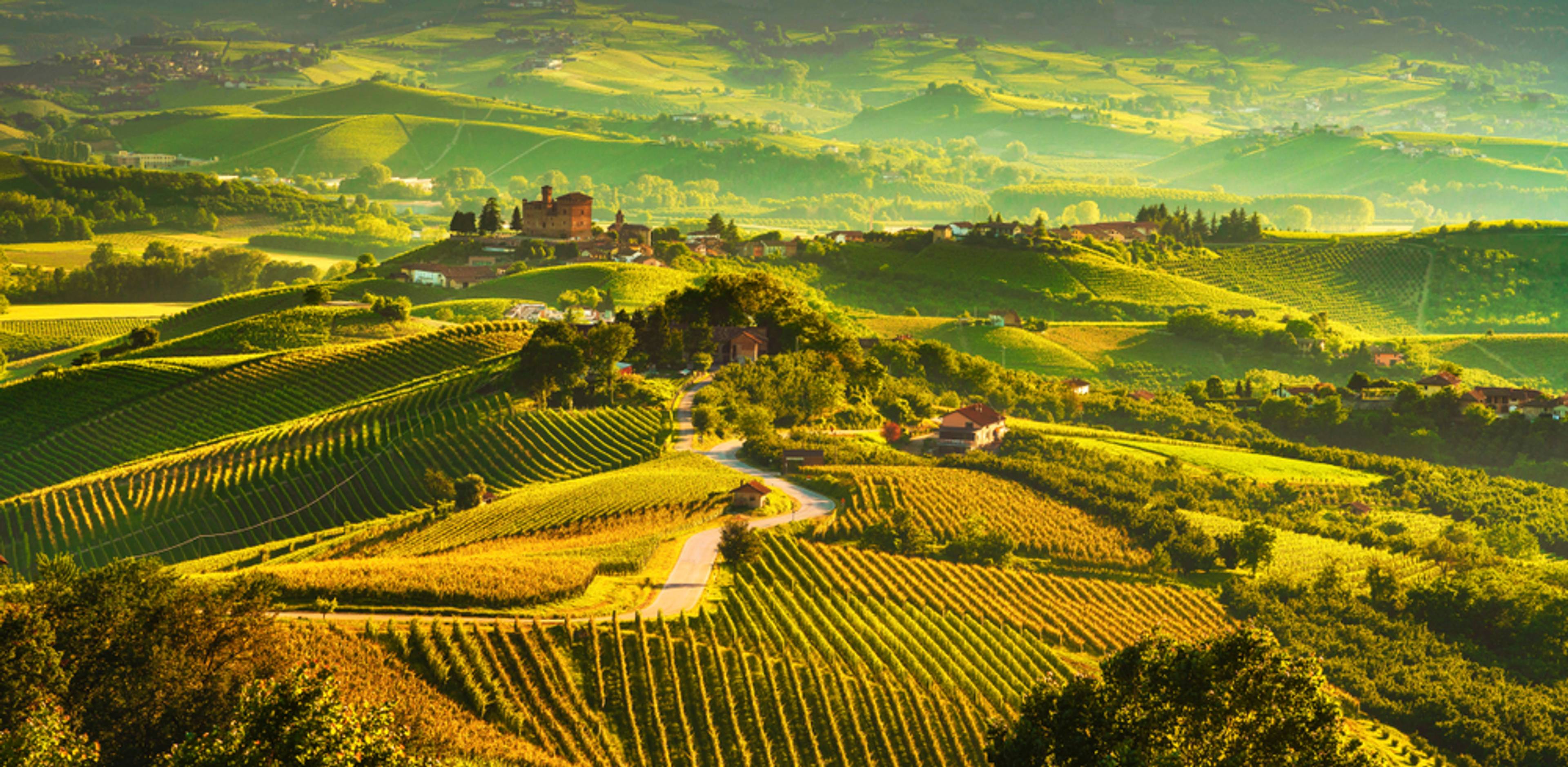 Pro Piemont je typické vinařství a bohatá historie