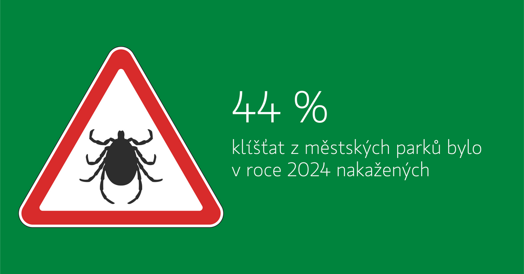 Klíšťata nejsou jen v lese. Ve městech je navíc více nakažených roztočů - až 44 %.