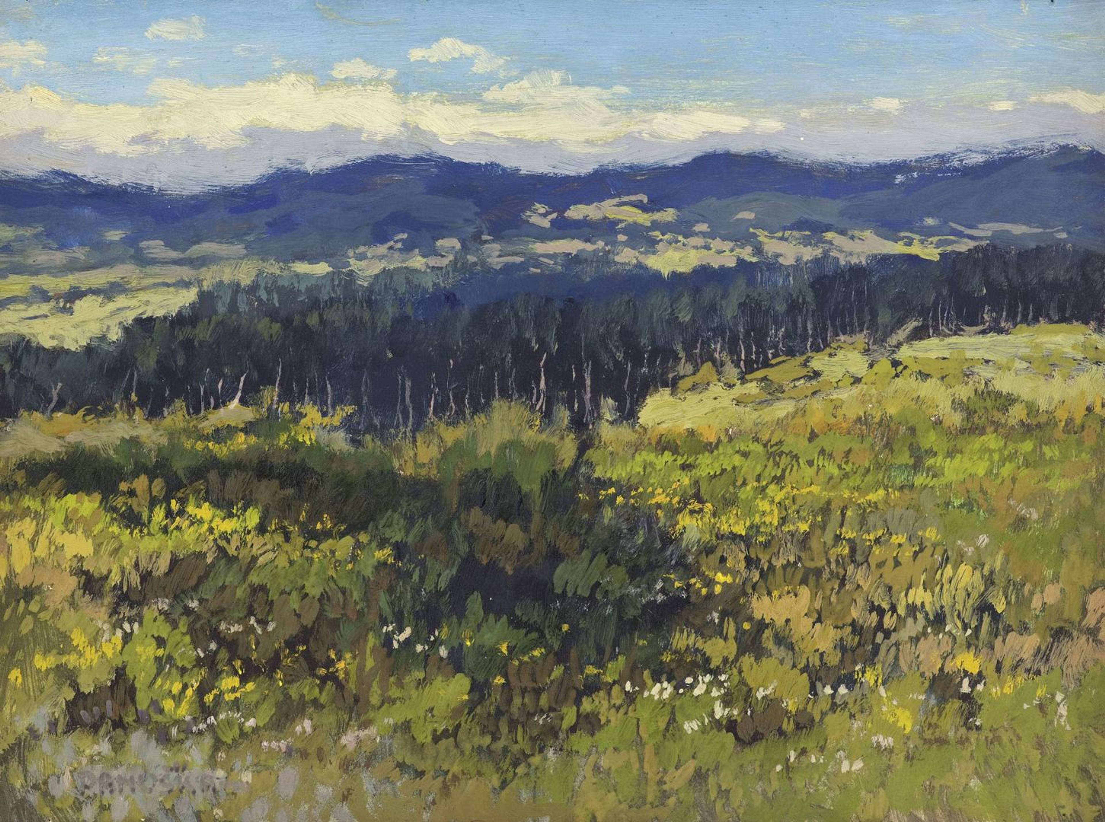 400974_J_Panuska_Letni_krajina_A4.jpg