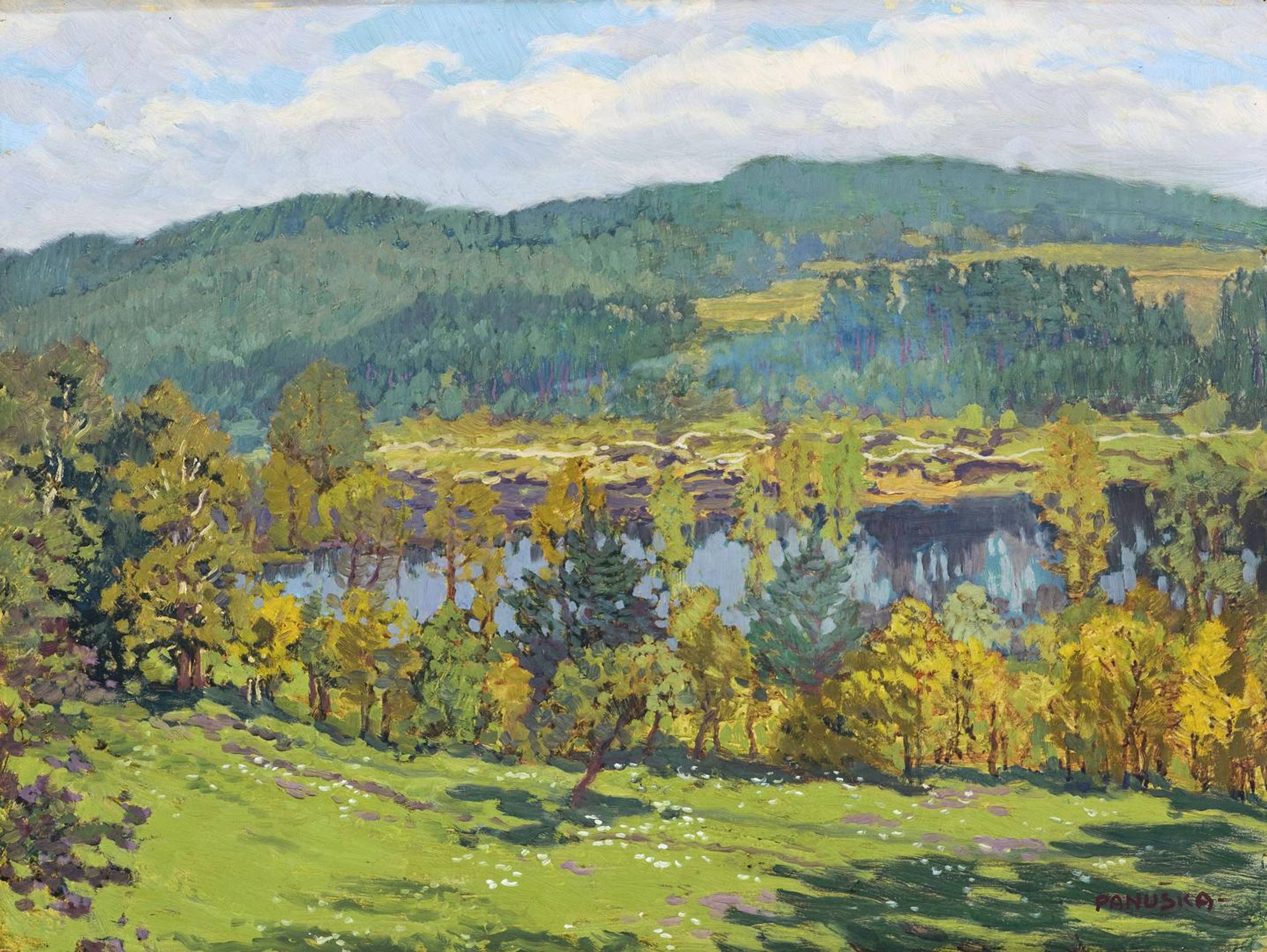 400977_J_Panuska_Partie_ze_Smrcne_1920px.jpg