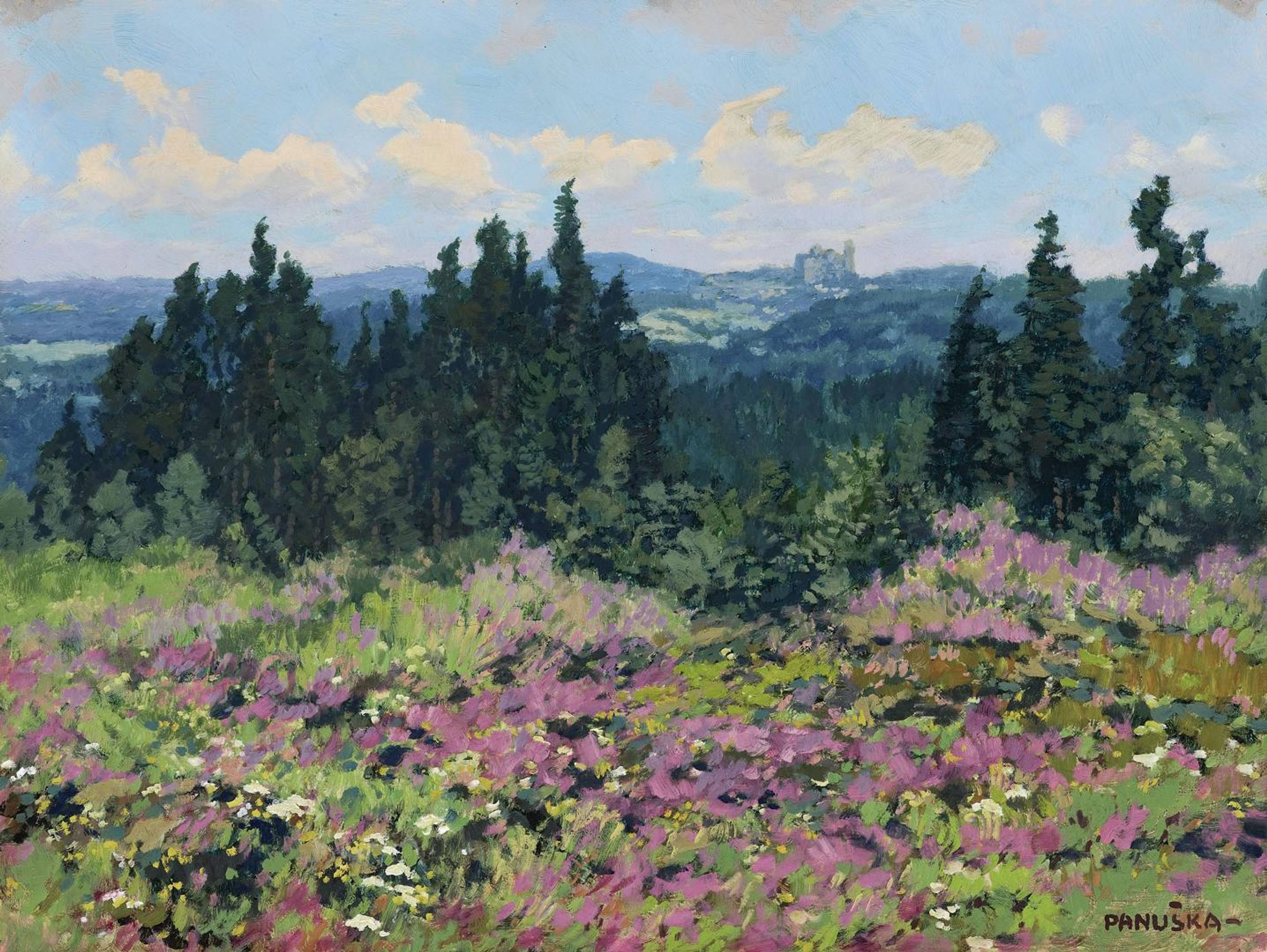 402881_J_Panuska_Krajina_se_zriceninou_A4.jpg