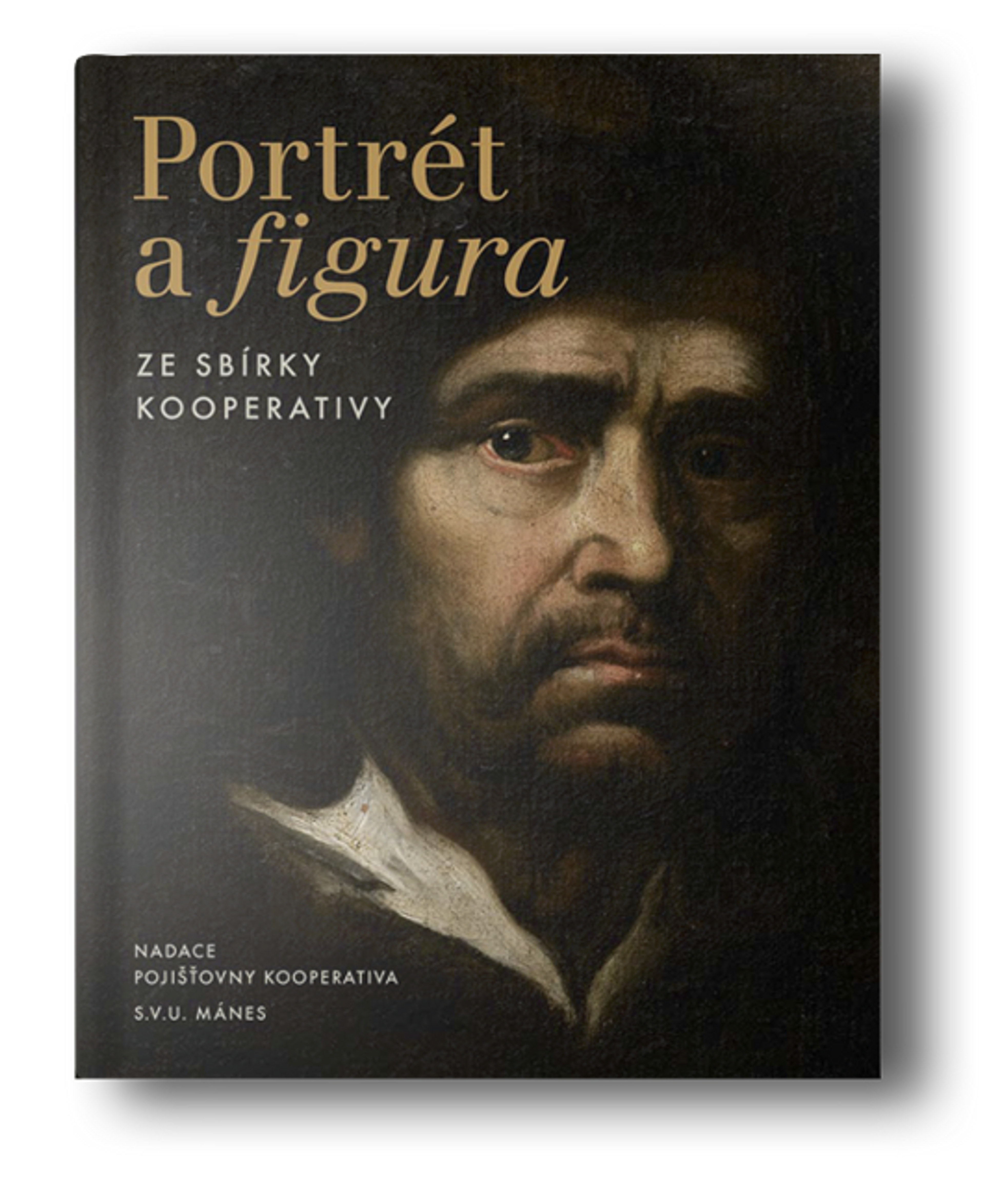 portr-fig-koop.png