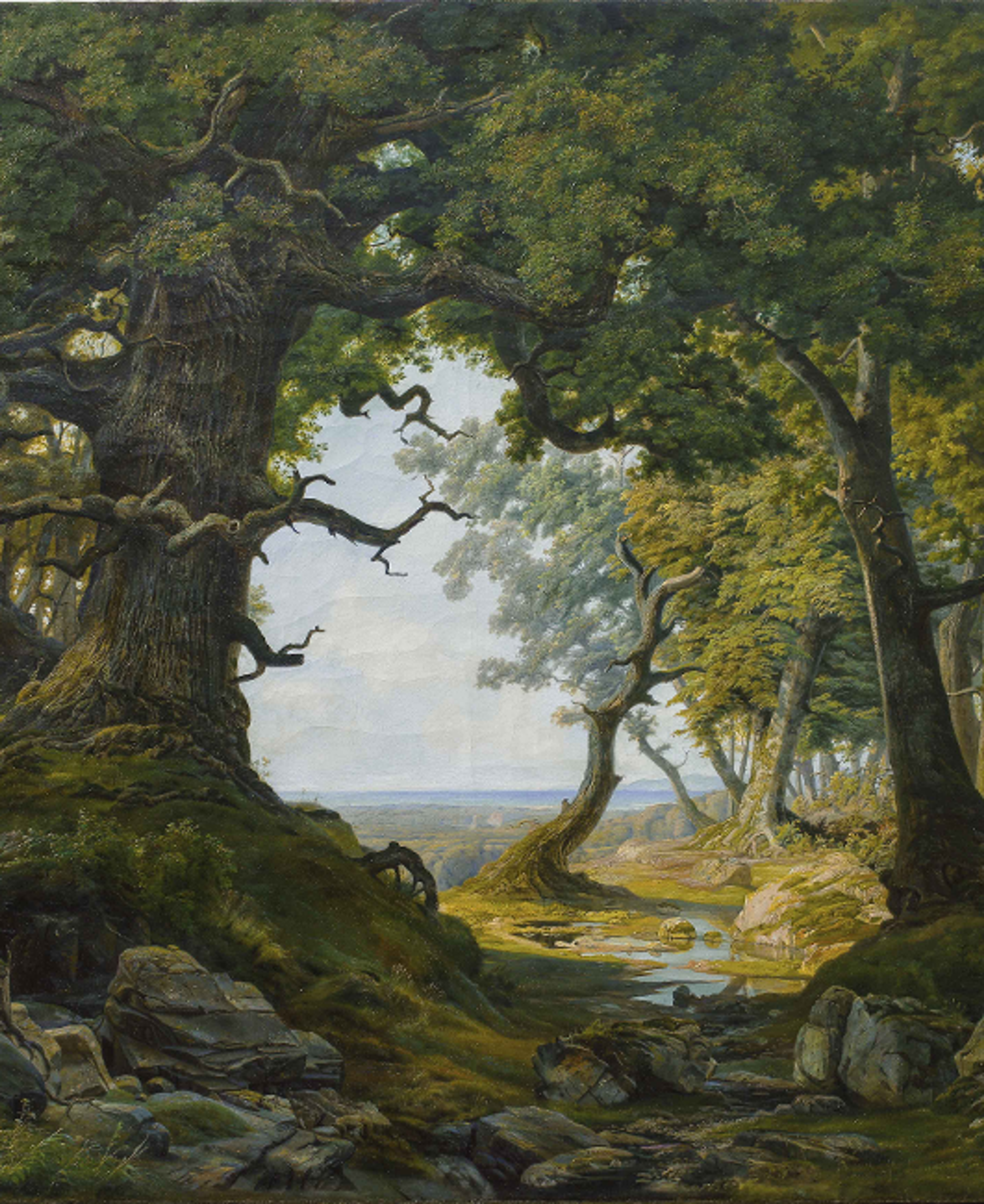 IMG-6164n-bedrich-havranek.png