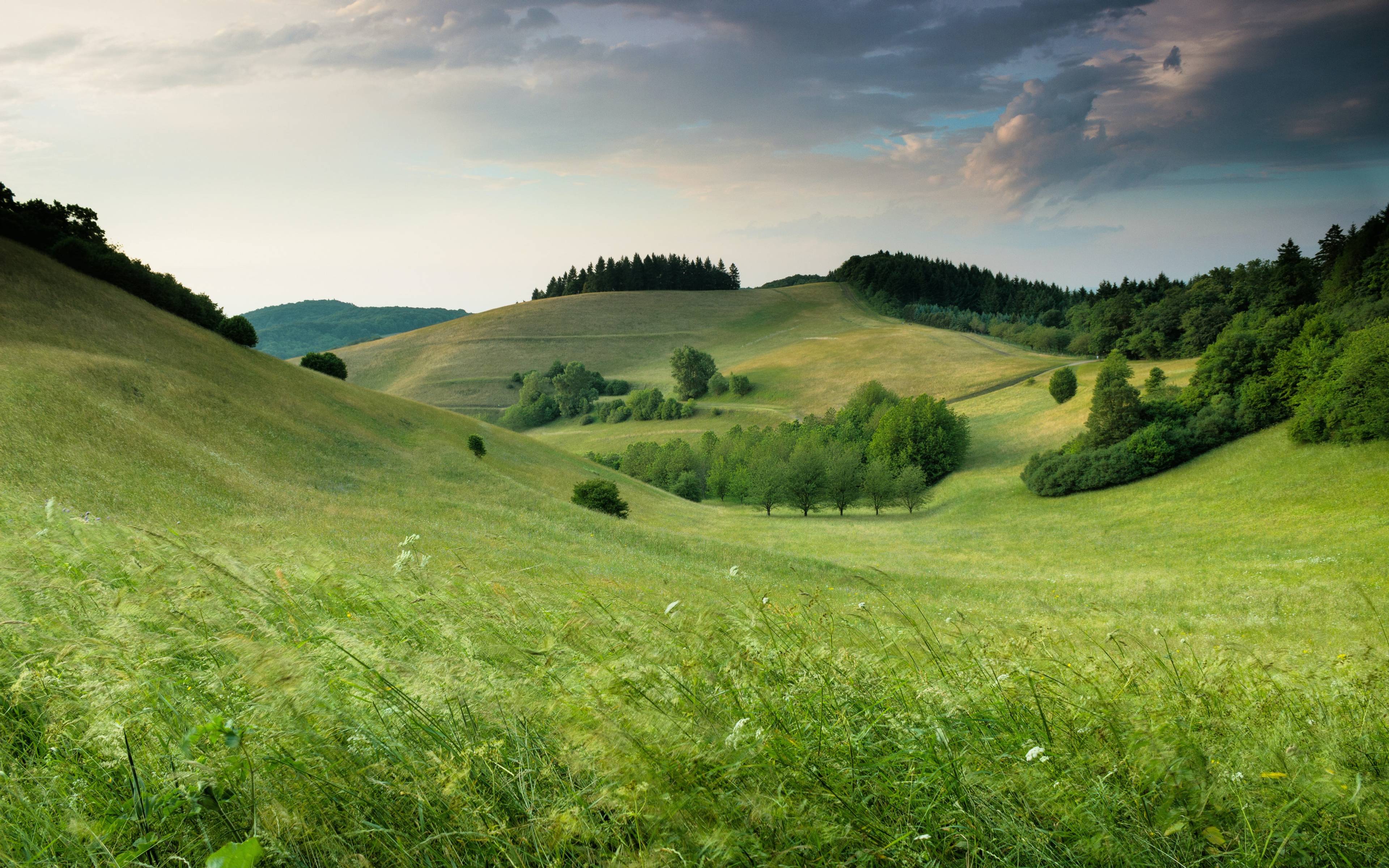 Ilustracni-obrazek-do-zahlavi.jpg
