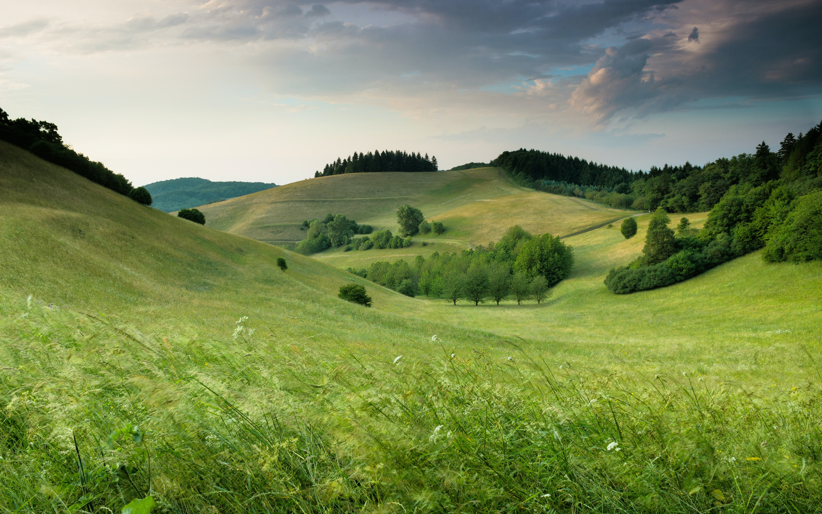 Ilustracni-obrazek-do-zahlavi.jpg
