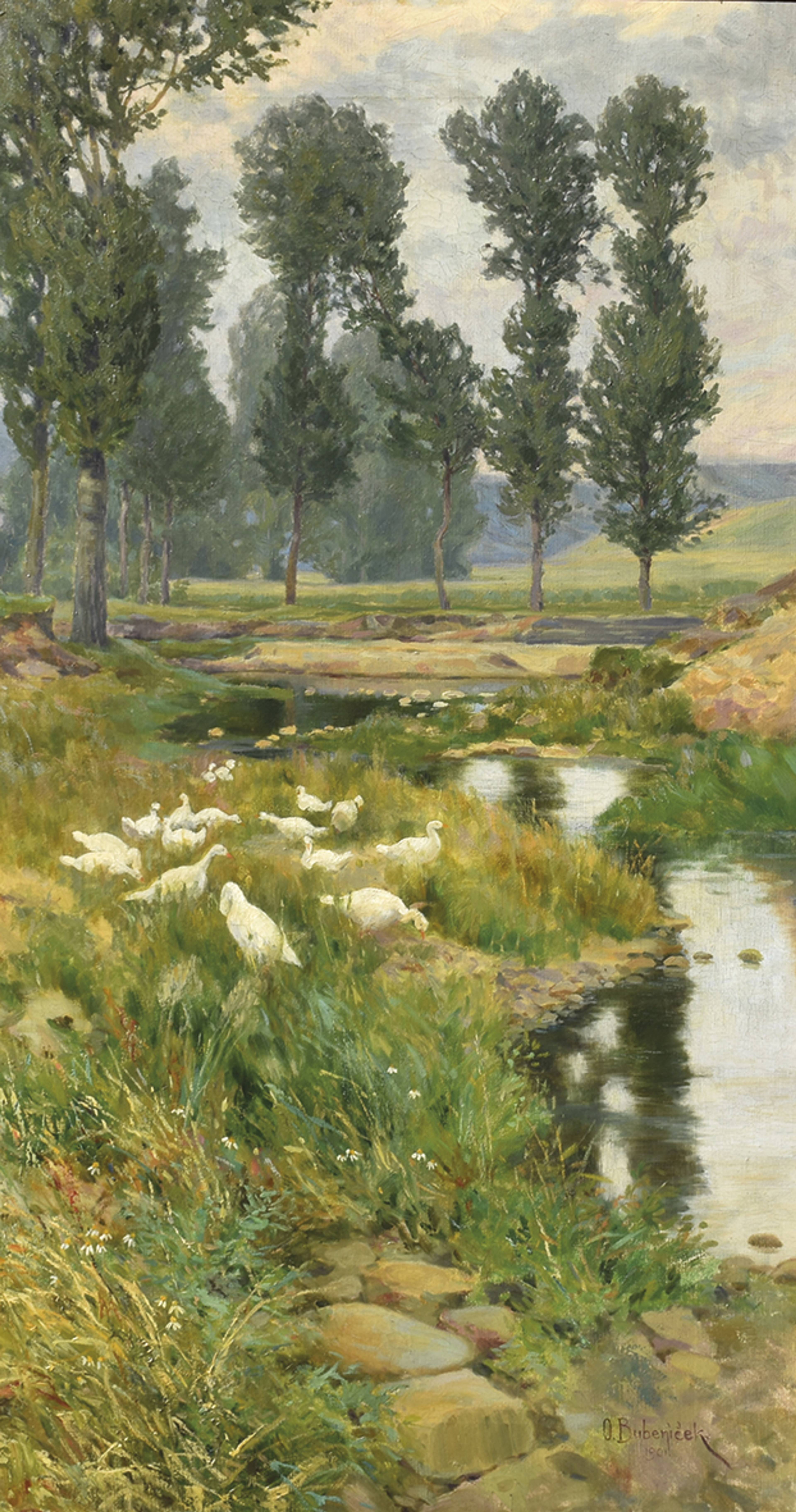 bubenicek