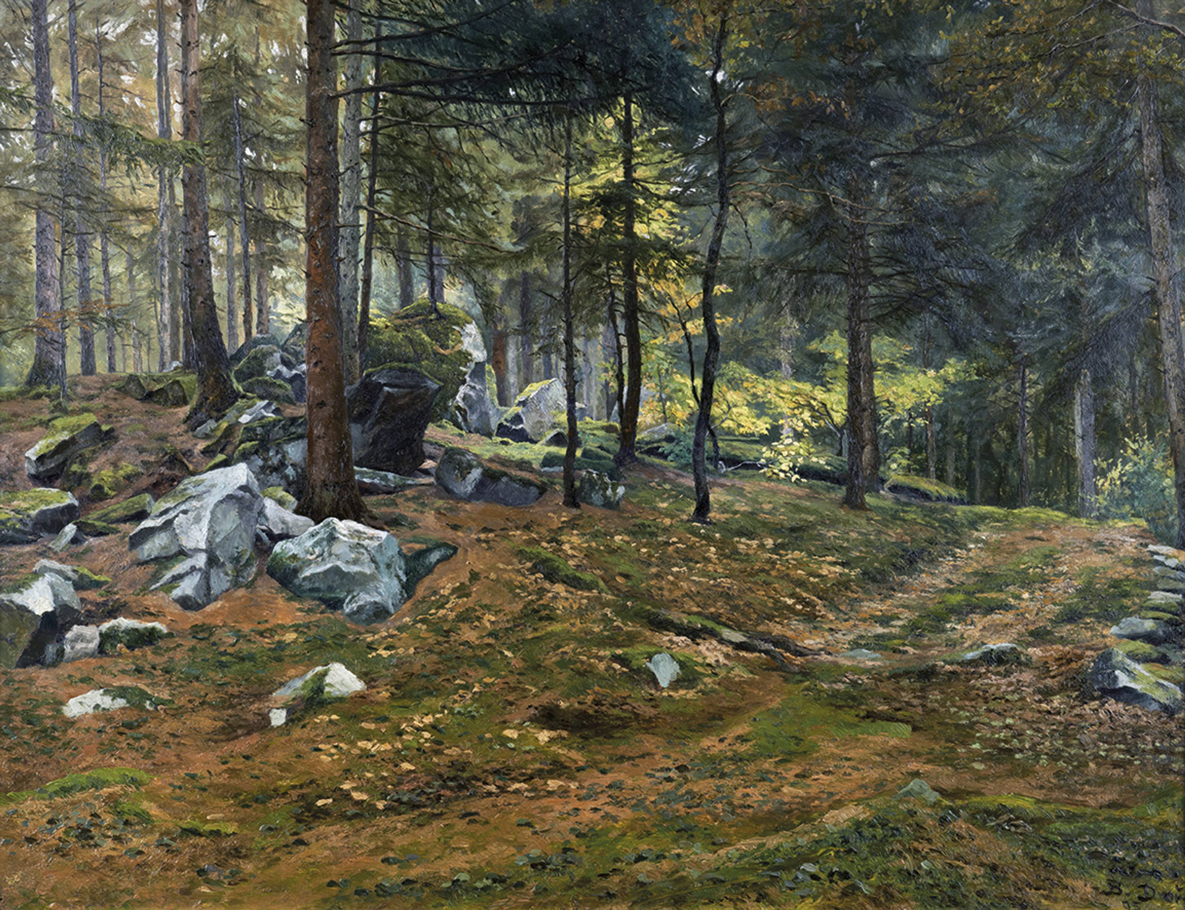 128_Dvorak_lesni_interier_plener