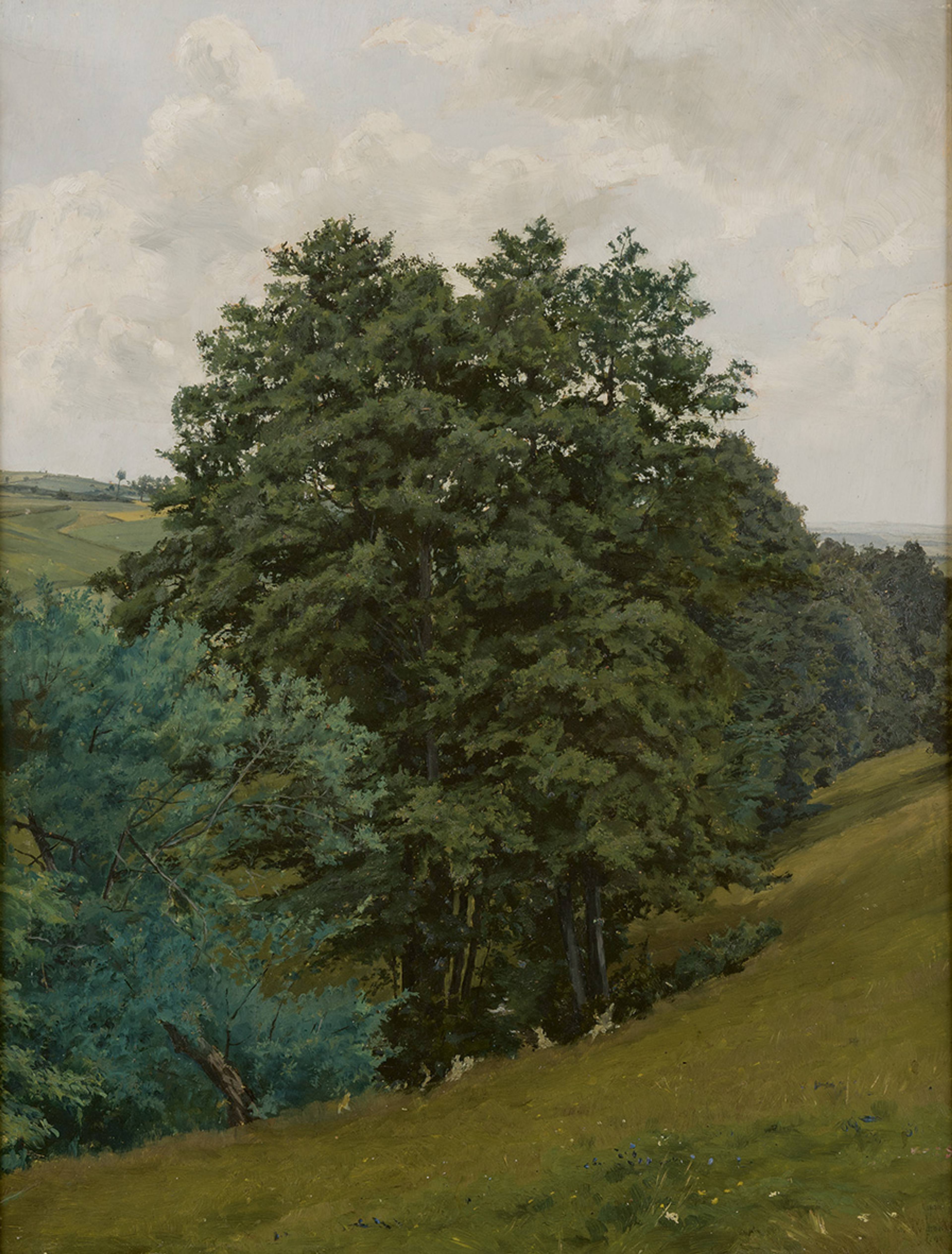 445_nad-potokem-ve-lhote-vichovske_ol-kar_65x50,1894