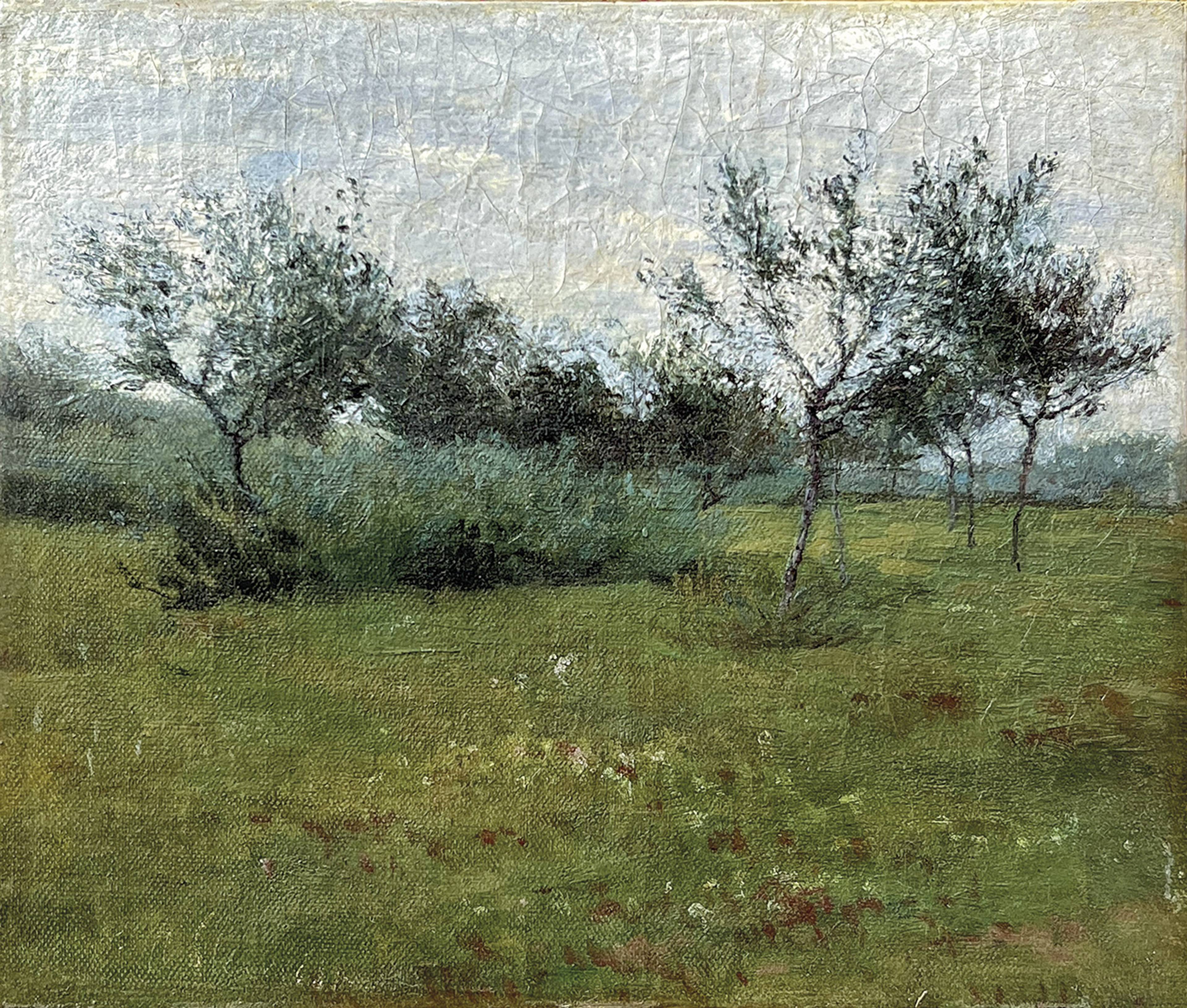 slavicek_