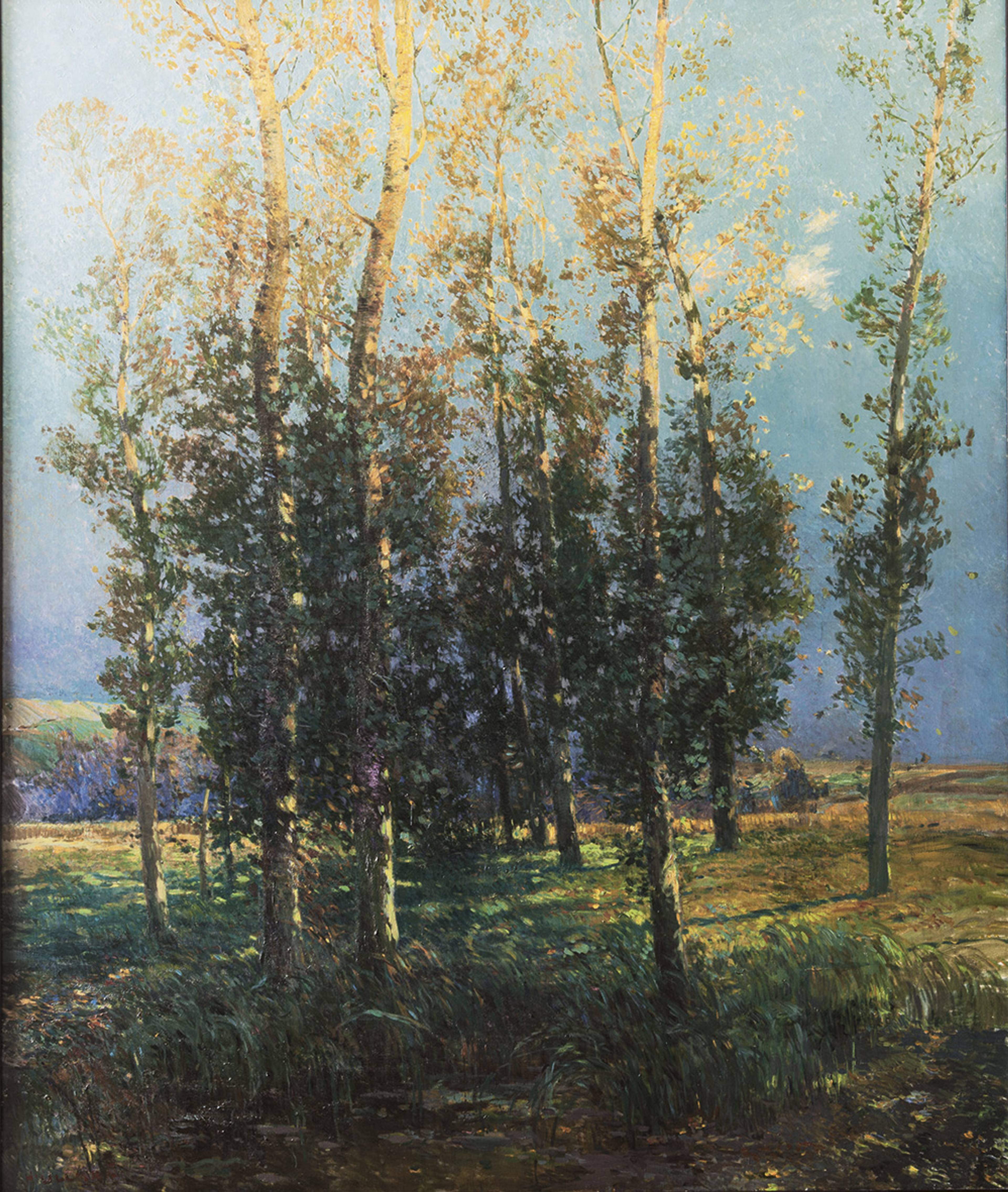 celeda_Josef-Ulmann-n
