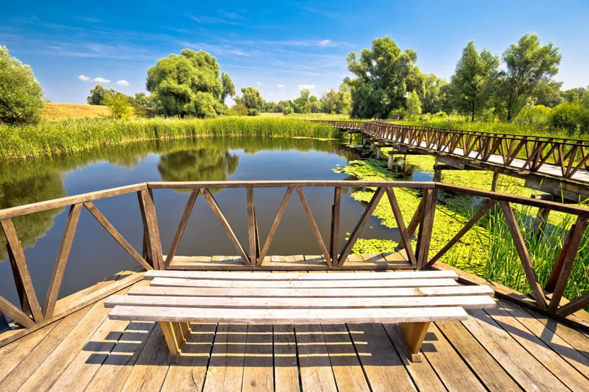 Osijek – přírodní park Kopacki rit