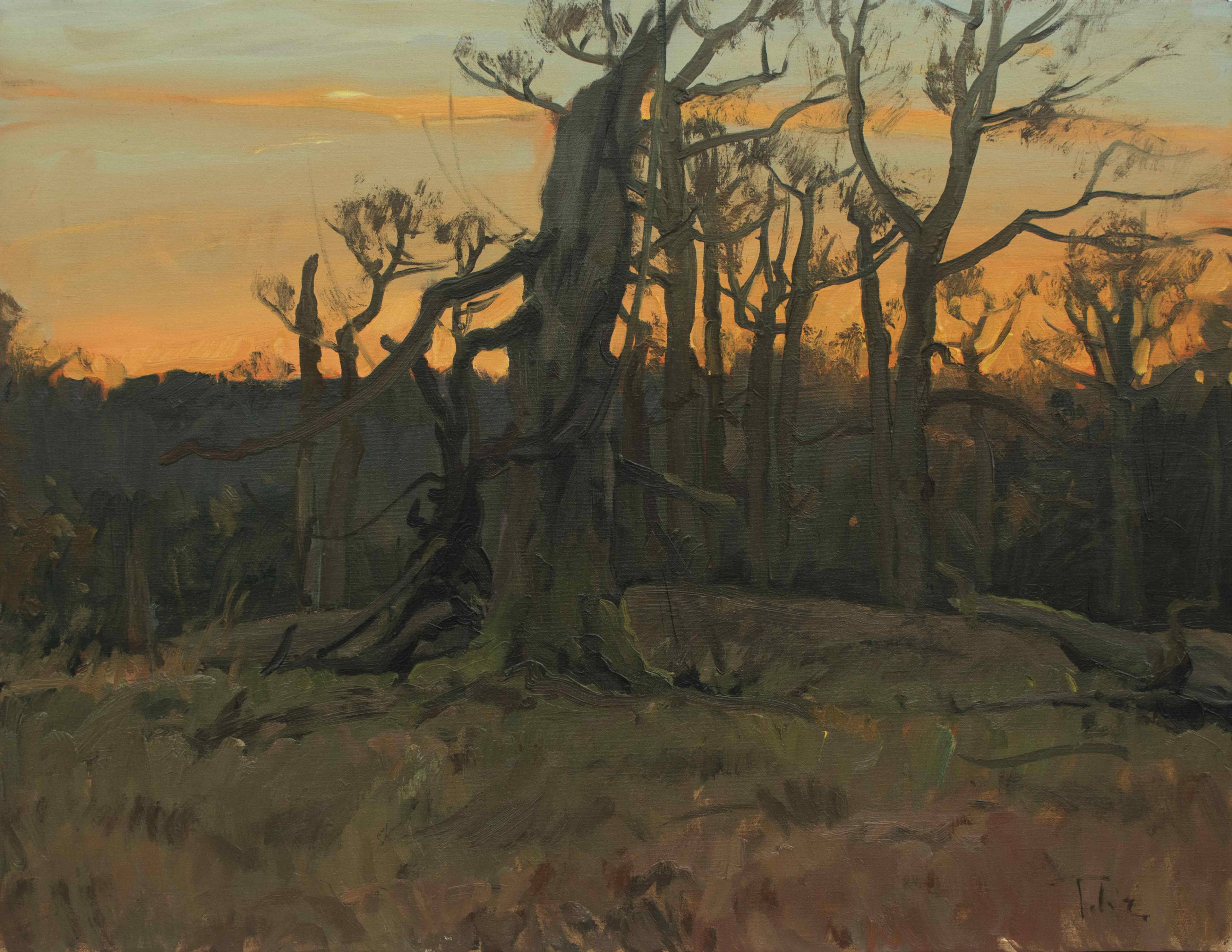 Soumrak-na-Babě,Olej-na-plátně,50x64cm,2022