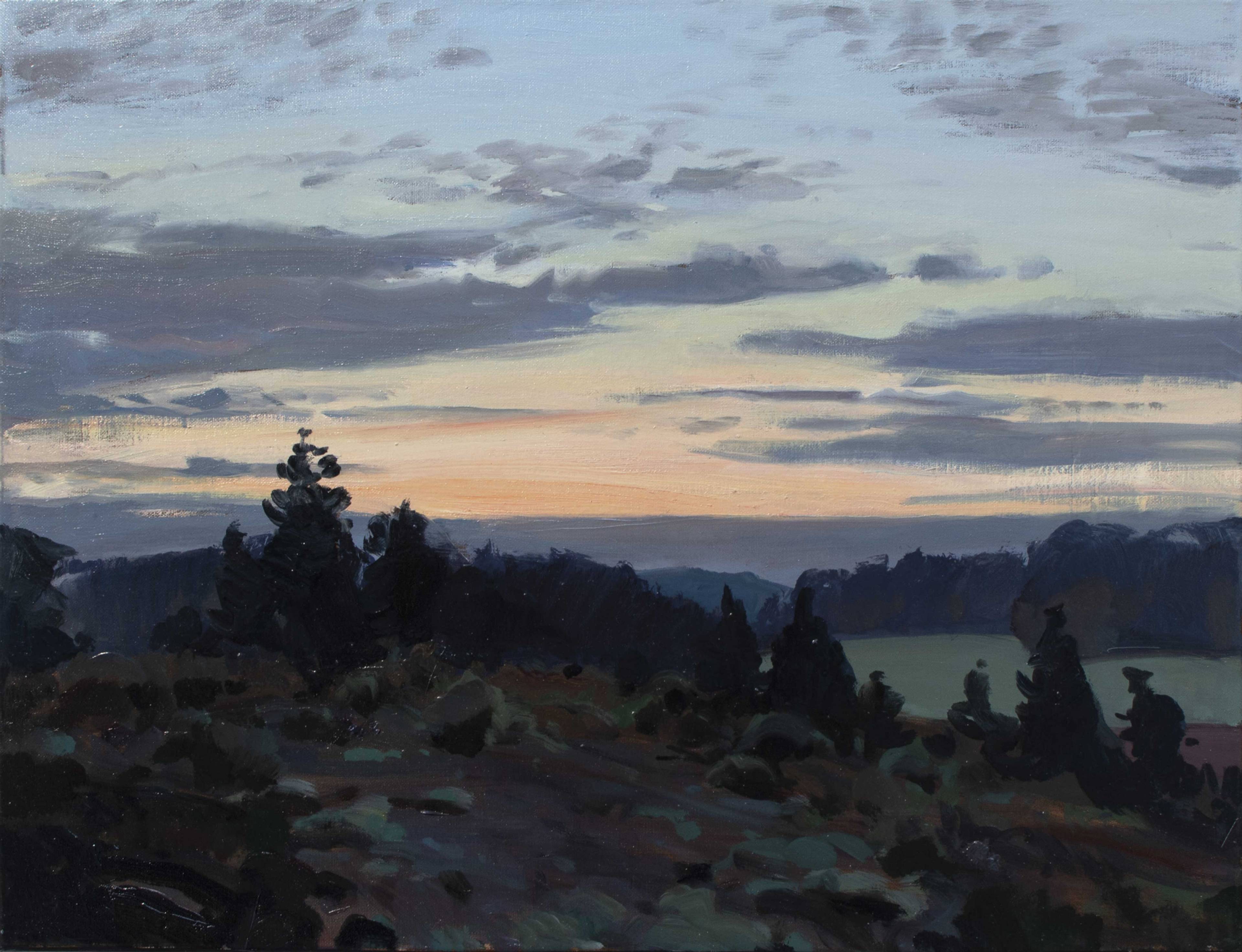 Úsvit-nad-mýtinou,-Olej-na-plátně,-40x52cm,-2023