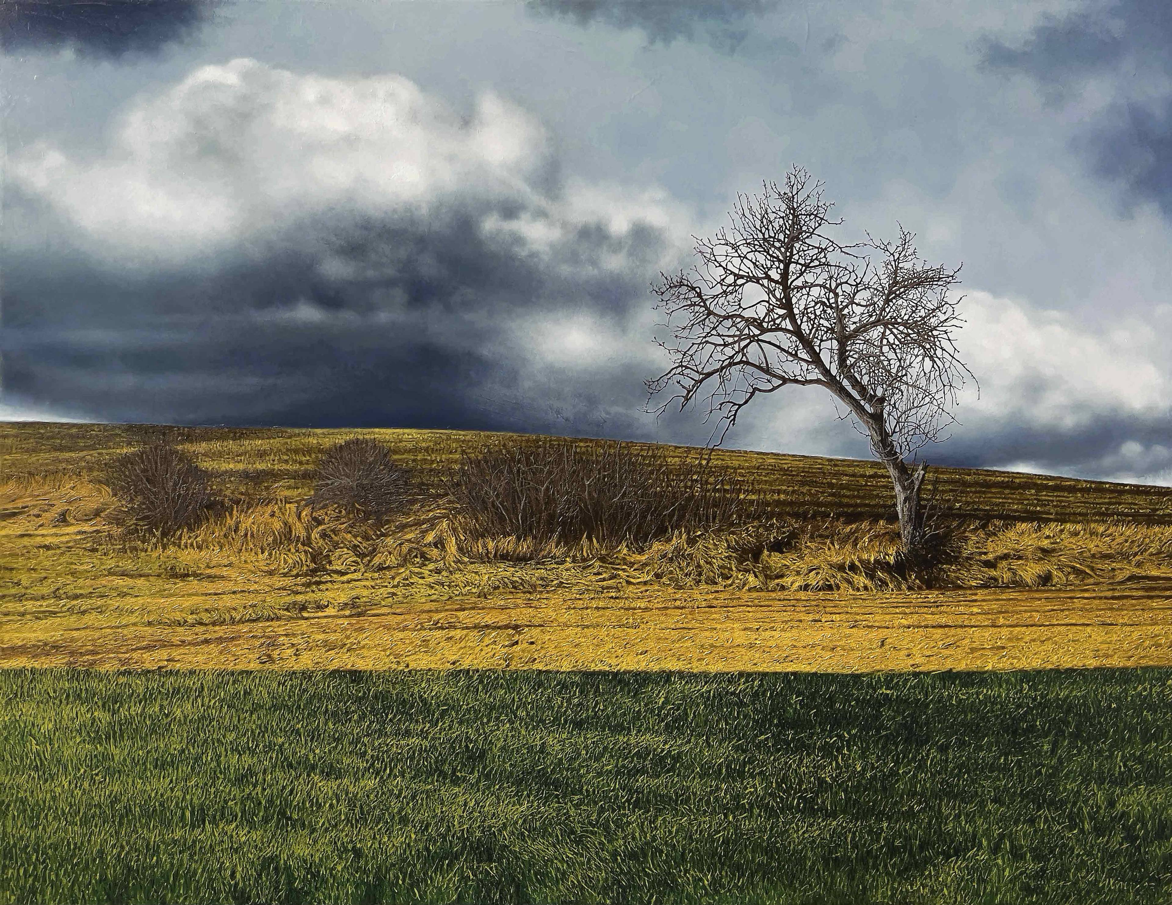 exner_Horizont