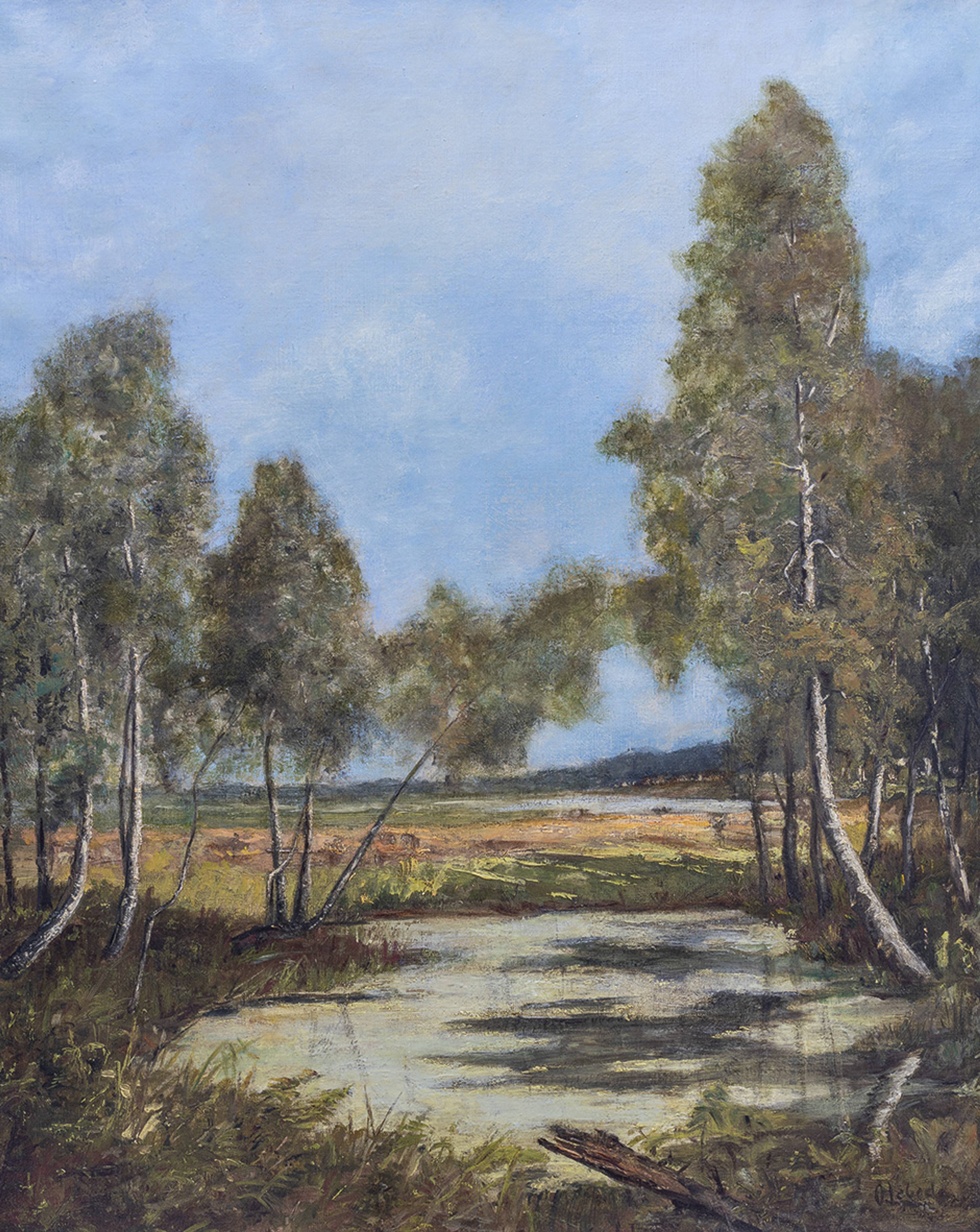 Lebeda_60x48_