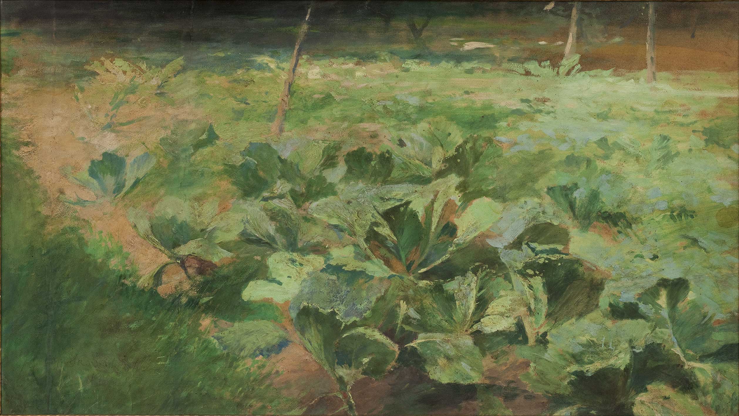 Slavicek_Kapusta-zeli