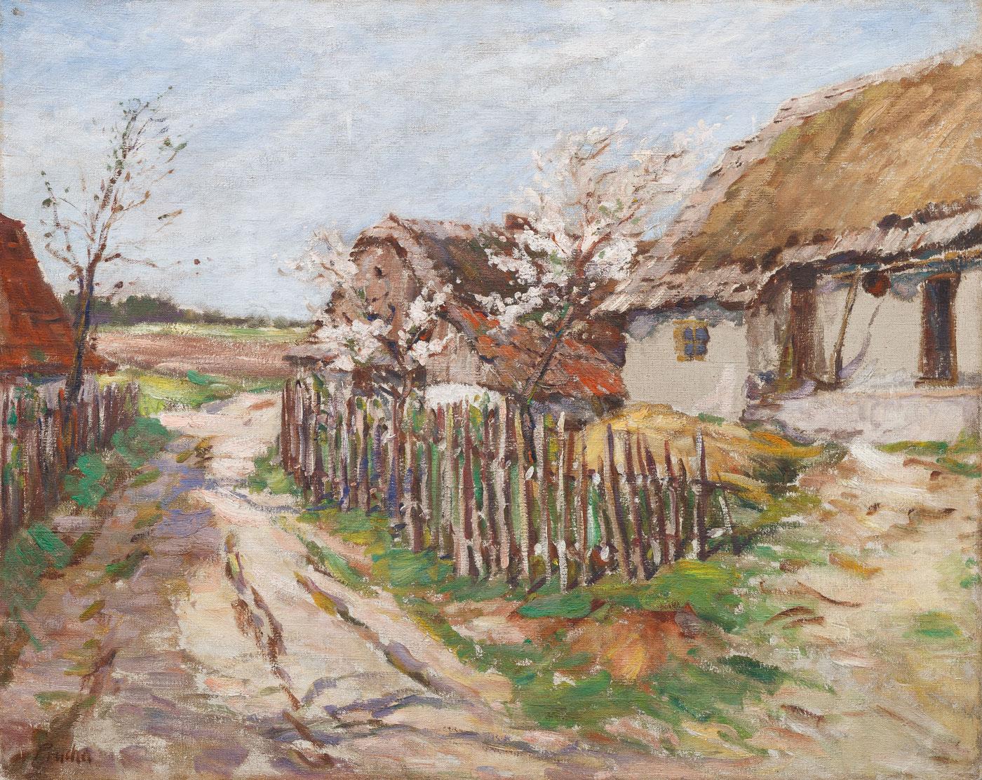 Prucha_Jaro